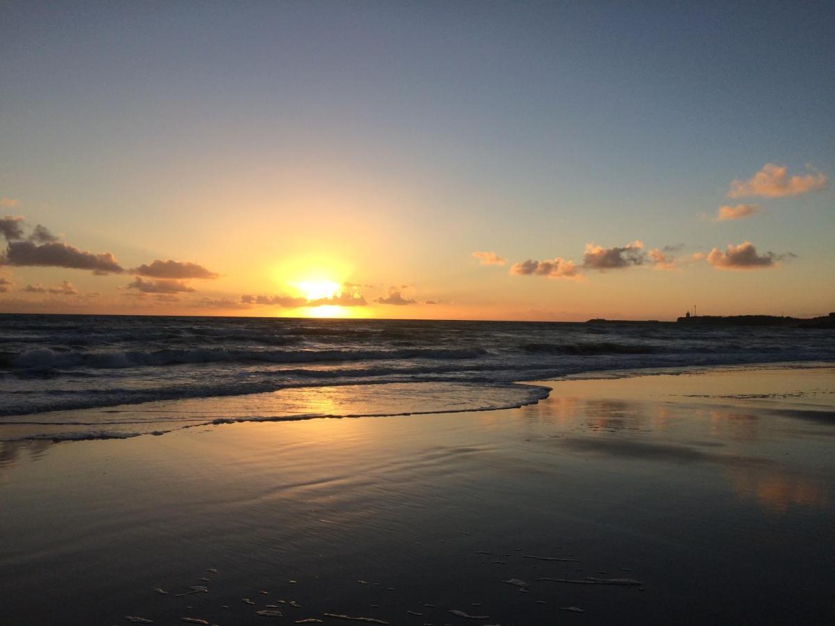 Conil