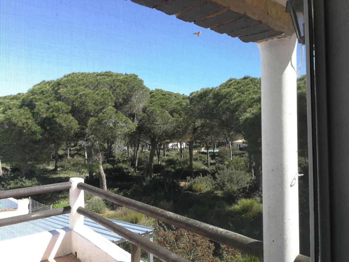 Conil Villa