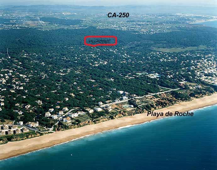Conil *